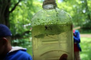 Una imagen de musgo creciendo en una botella de agua.